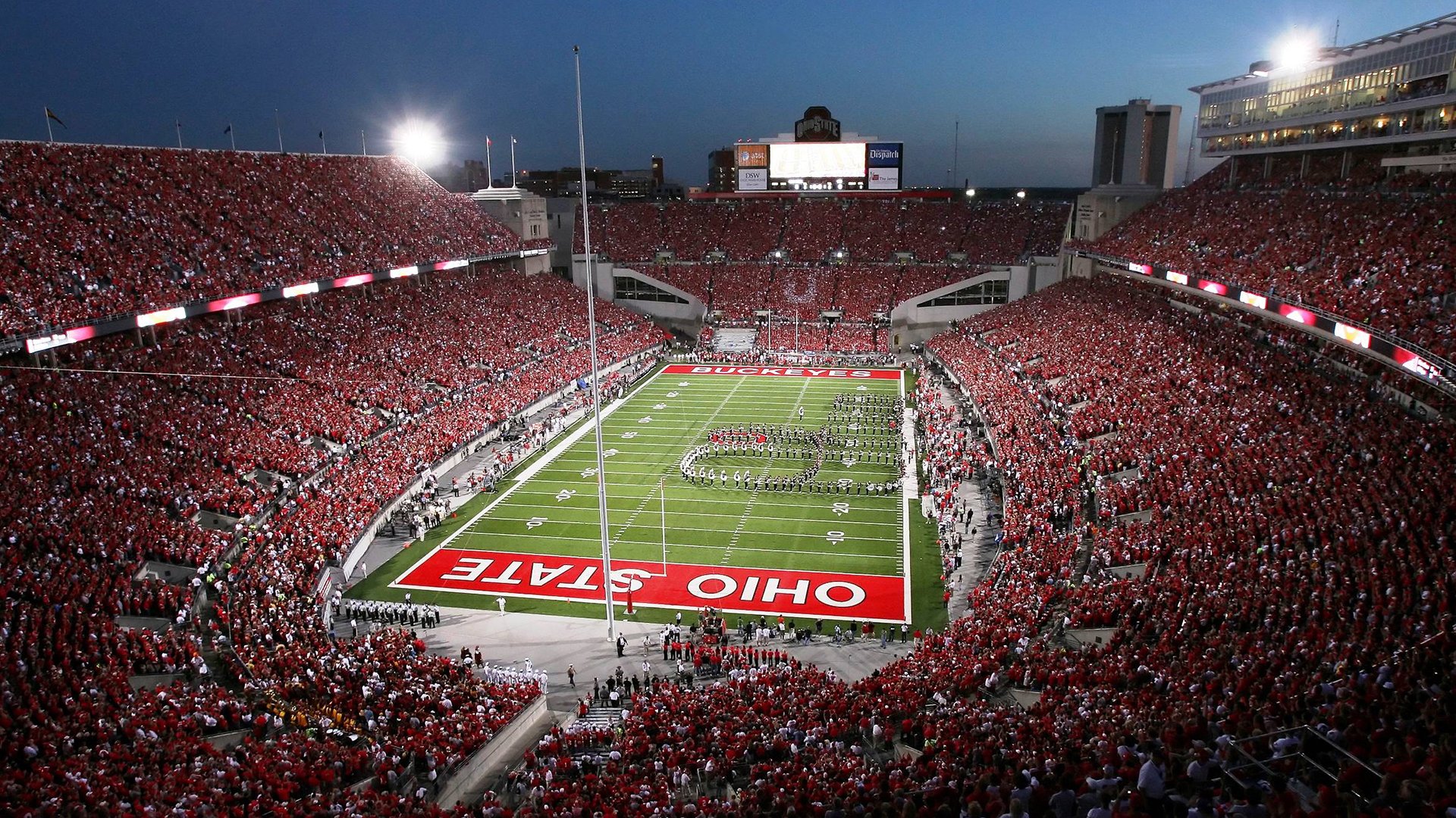 世界杯后备力量的青少年培养计划，世界杯后的我